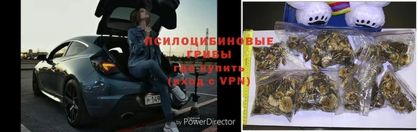 меф VHQ Дмитриев