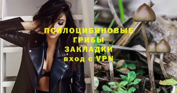 меф VHQ Дмитриев