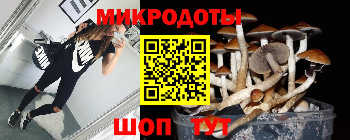 Галлюциногенные грибы Cubensis  Вход с VPN  Псилоцибиновые грибы Magic Shrooms  Кандалакша 